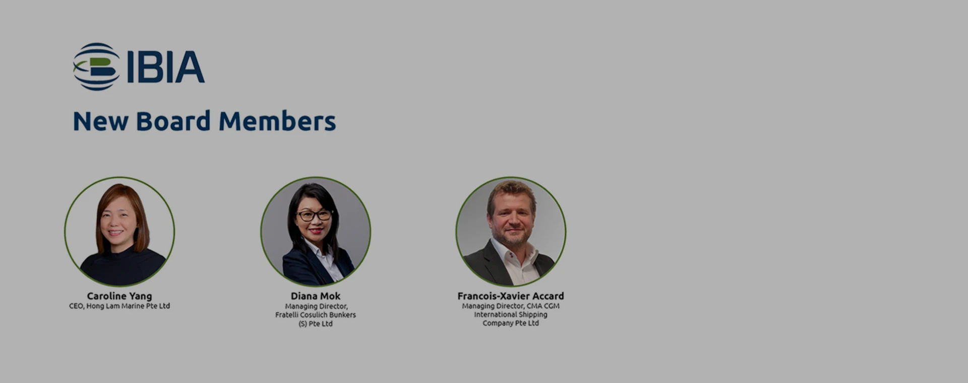 Diana Mok appointed to the IBIA Asia Regional Board